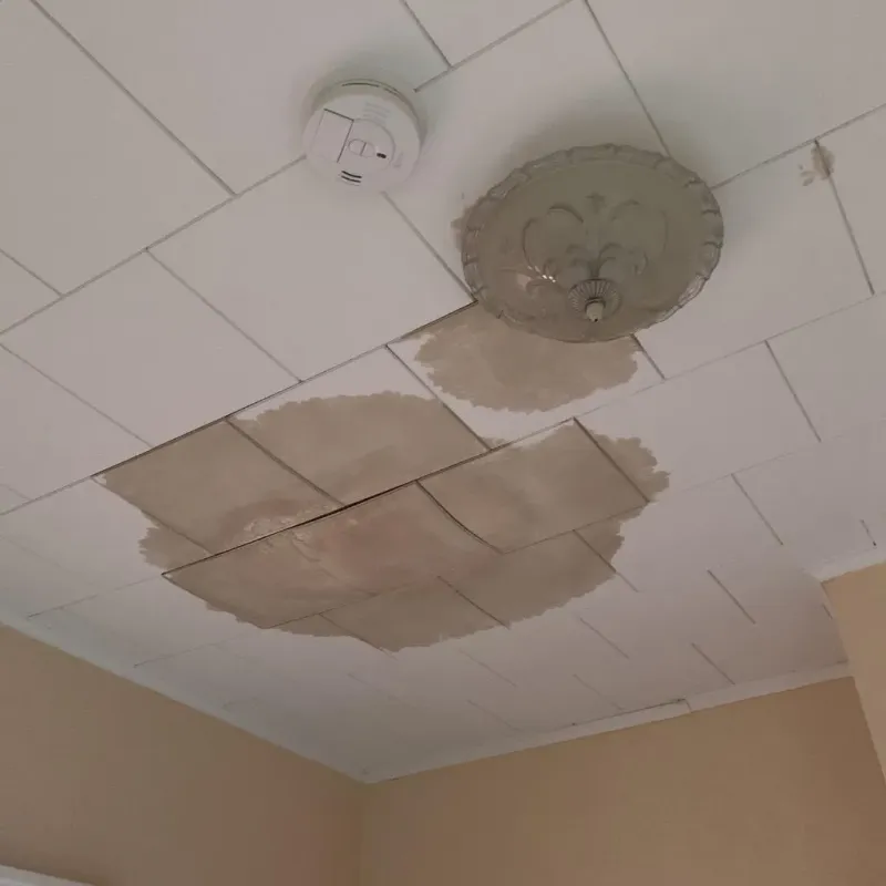 Ceiling Water Damage Repair in Ola, AR