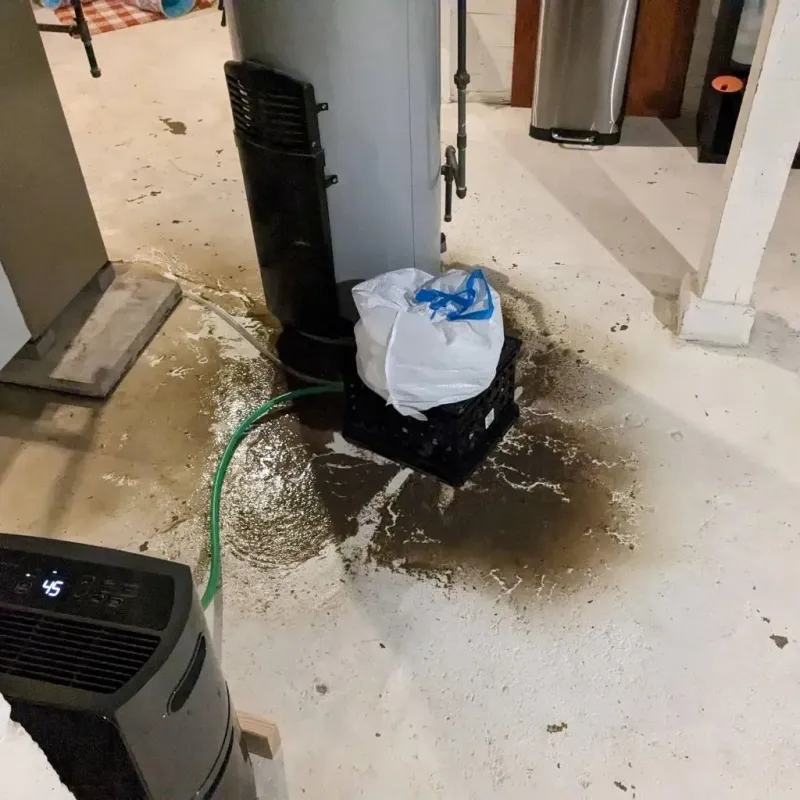Sewage Backup Cleanup Service in Ola, AR